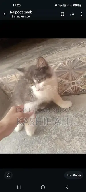 5 kids pair, per kids 8000