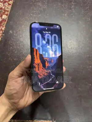 iPhone 12 Pro Max 256 Gb PTA Approved Physical+Esim 10/10