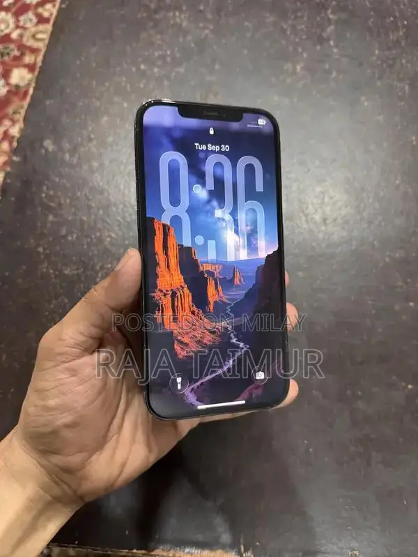 iPhone 12 Pro Max 256 Gb PTA Approved Physical+Esim 10/10