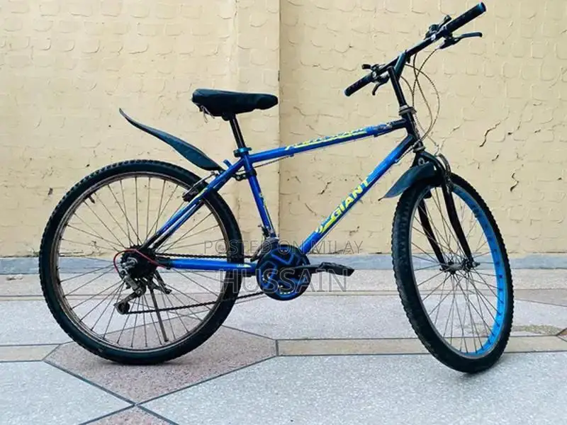 Beautiful 26 inches Giant Bicycle with Gears – Zero Issues