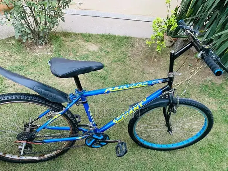 Beautiful 26 inches Giant Bicycle with Gears – Zero Issues