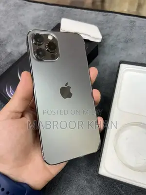 12 pro max factory unlock