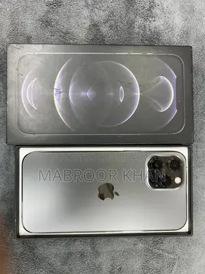 12 pro max factory unlock