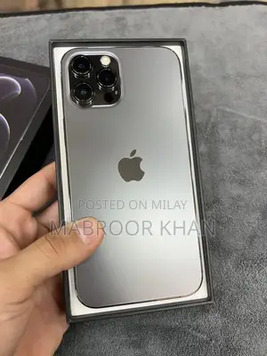 12 pro max factory unlock