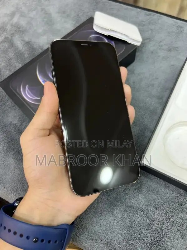 12 pro max factory unlock