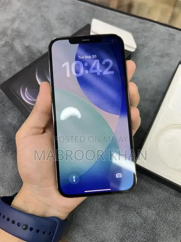 12 pro max factory unlock