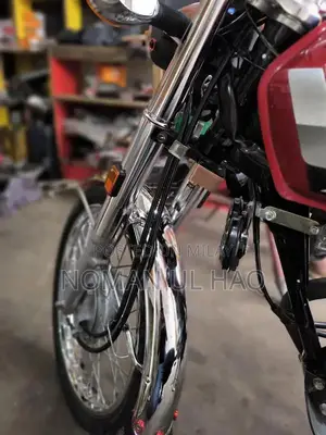 Honda CG 125 Special Edition Motorcycle 2025 Model