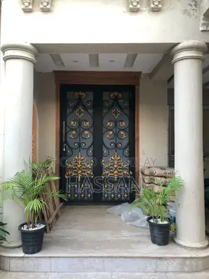 Metal main door