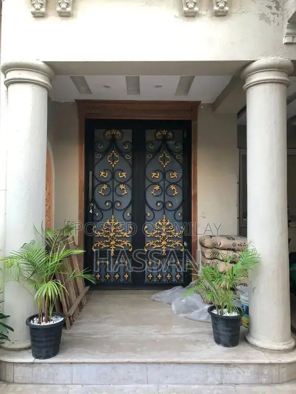 Metal main door
