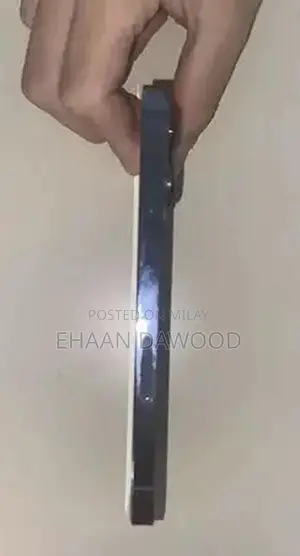 13 pro max Factory unlock 256 gb