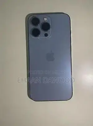 13 pro max Factory unlock 256 gb