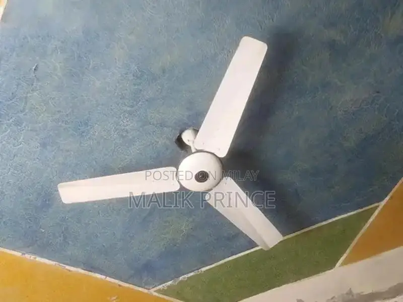 sale my ceiling fan pak fan brand new
