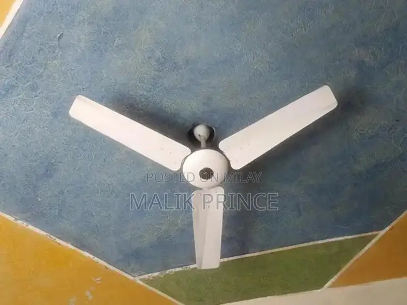 sale my ceiling fan pak fan brand new