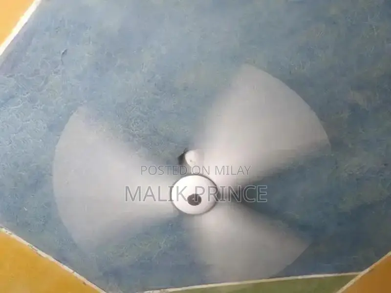 sale my ceiling fan pak fan brand new