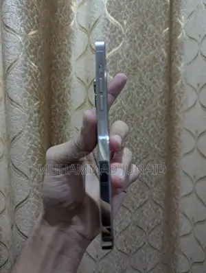 Iphone 13 PRO MAX NON PTA JV 256 GB         XS 17