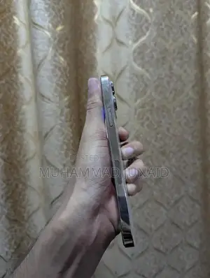 Iphone 13 PRO MAX NON PTA JV 256 GB         XS 17