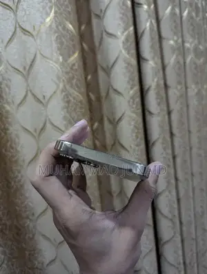 Iphone 13 PRO MAX NON PTA JV 256 GB         XS 17