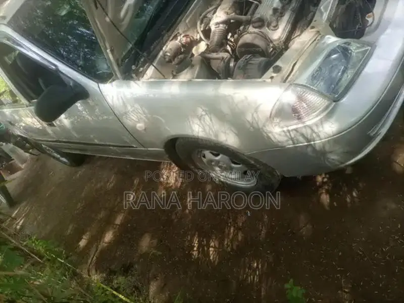 Suzuki Compact Sedan - Versatile Urban Driving Solution