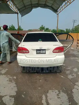 Photo - serious party contact