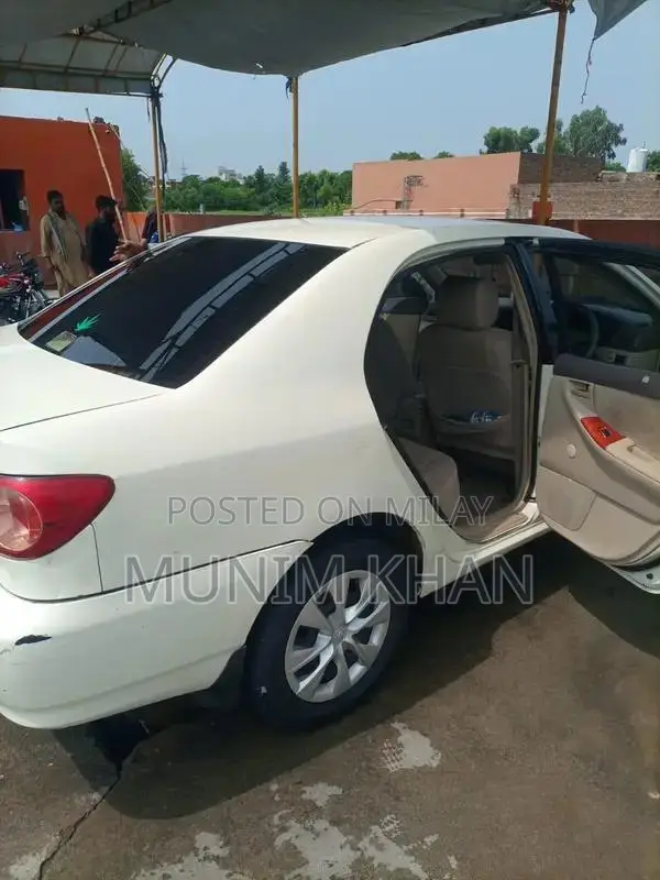 serious party contact