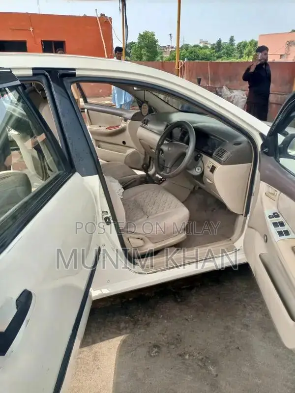 serious party contact