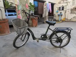 Orfeu Mini Hybrid Mountain Bike Limited Edition 2024