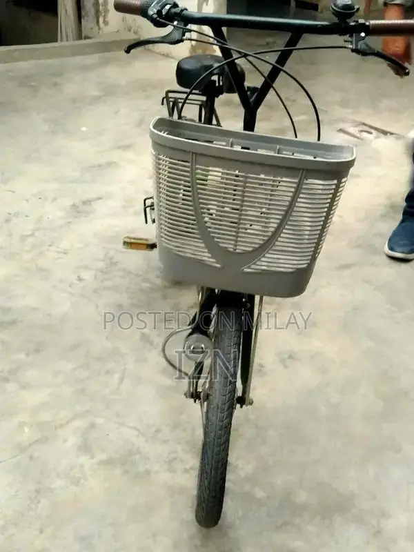 Orfeu Mini Hybrid Mountain Bike Limited Edition 2024