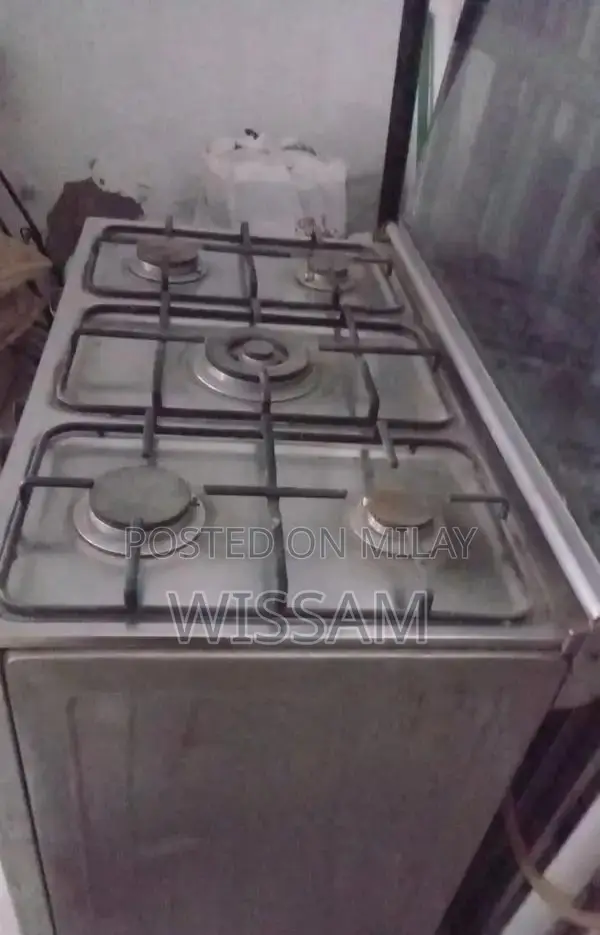 Professional 6-Burner Stainless Steel Gas Range with Large Oven