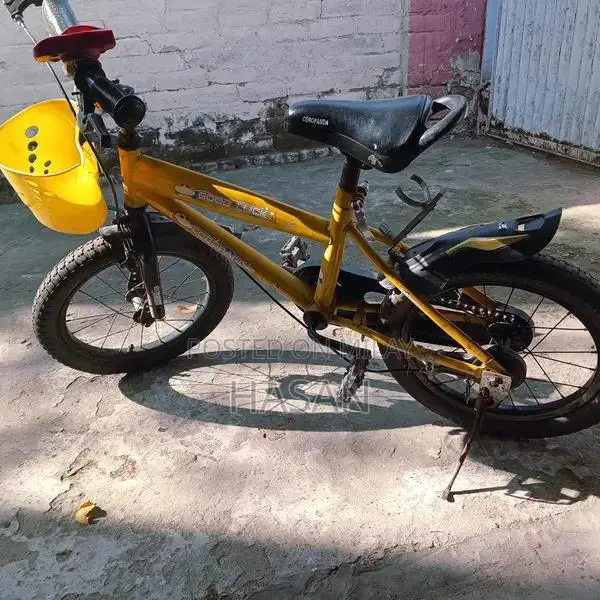 3-Pack Bicycles: Multiple Sizes for Different Age Groups