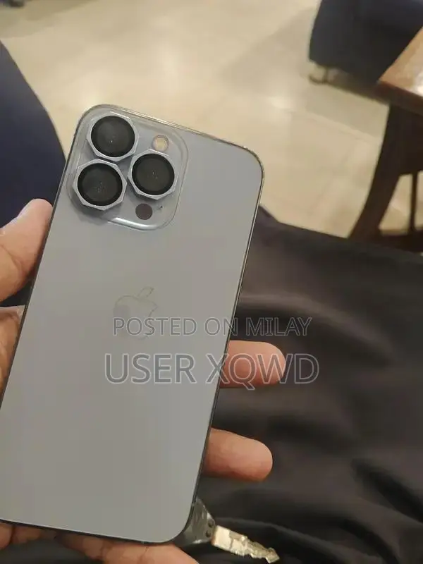 Pro Smartphone 256GB Storage iOS Device