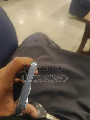 Pro Smartphone 256GB Storage iOS Device