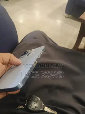 Pro Smartphone 256GB Storage iOS Device