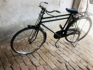 China bicycle for sale