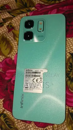 Affordable Mobile Device with Multiple Connectivity Options