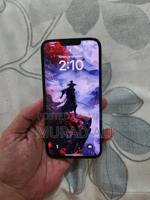 Apple iPhone 13 Pro Max