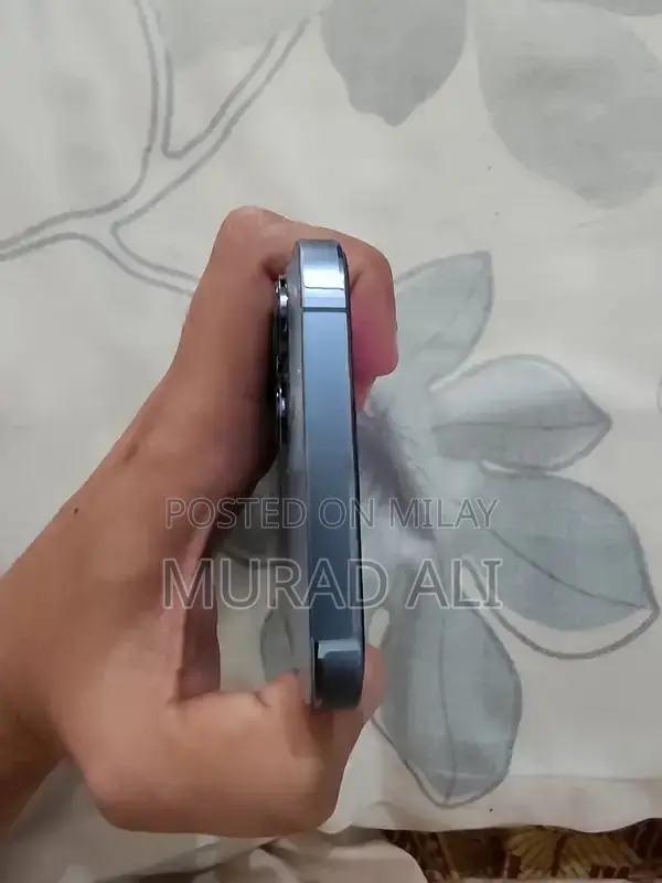 Apple iPhone 13 Pro Max