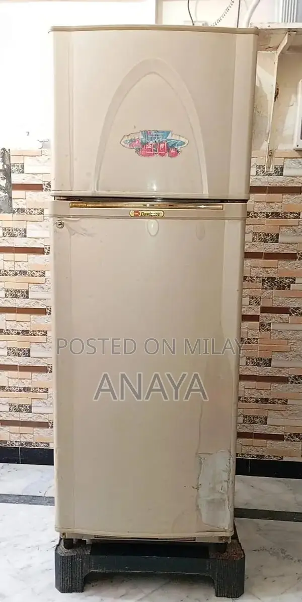 Energy-Efficient Kitchen Refrigerator with Multiple Storage Compartmen