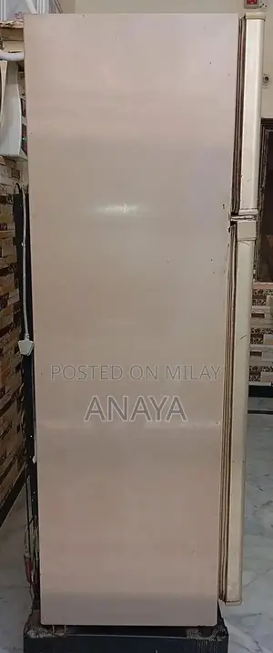 Energy-Efficient Kitchen Refrigerator with Multiple Storage Compartmen