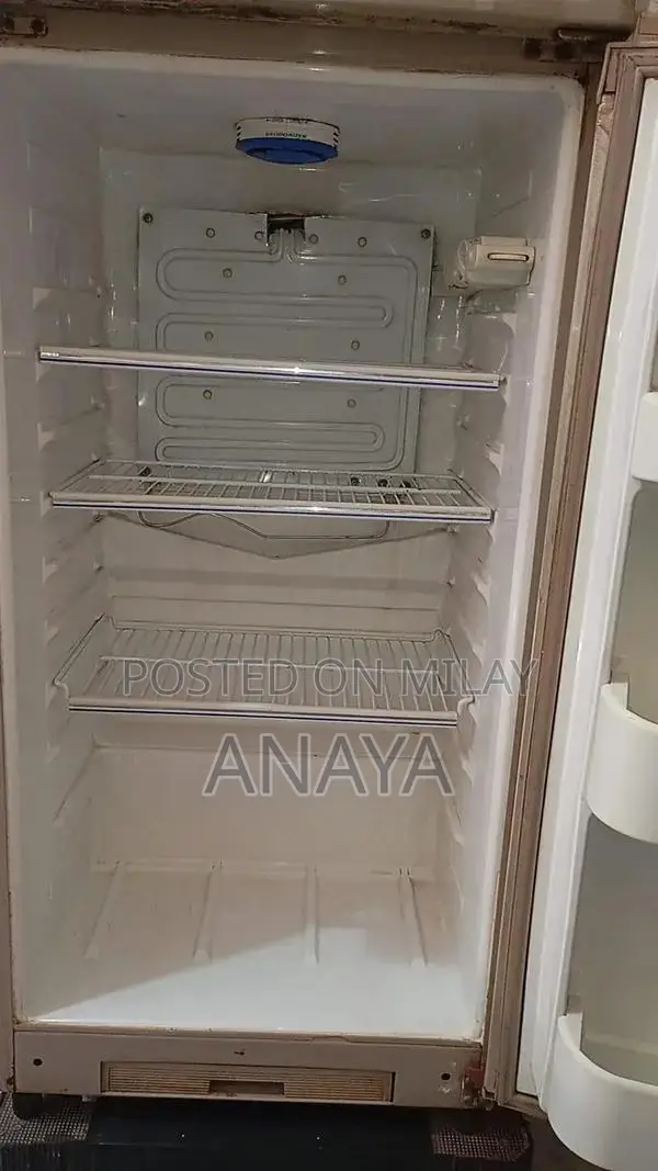 Energy-Efficient Kitchen Refrigerator with Multiple Storage Compartmen