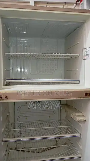 Energy-Efficient Kitchen Refrigerator with Multiple Storage Compartmen