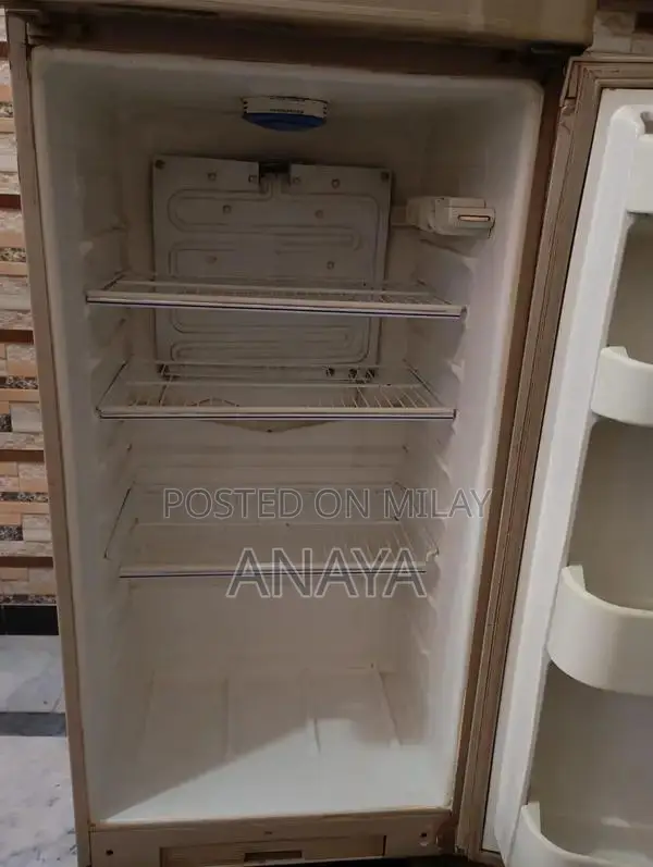 Energy-Efficient Kitchen Refrigerator with Multiple Storage Compartmen