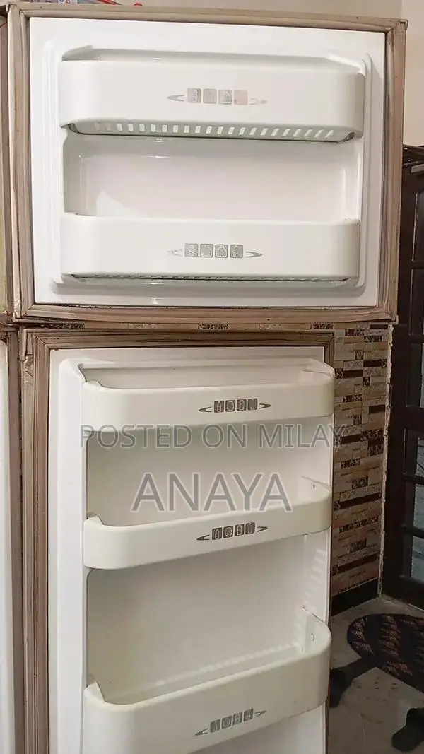 Energy-Efficient Kitchen Refrigerator with Multiple Storage Compartmen