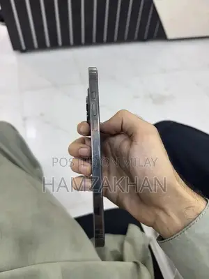Iphone 13 pro max pta approved