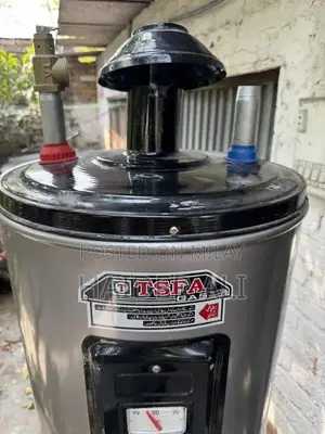 TSFA Gas Water Heater Geyser