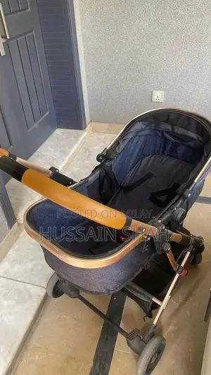 Infant to Toddler 2-in-1 Convertible Pram Stroller