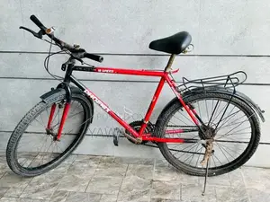 Photo - Phoenix 18-Speed Urban Bicycle with Mudguards and Carrier