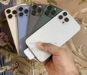 13 pro max pta approved