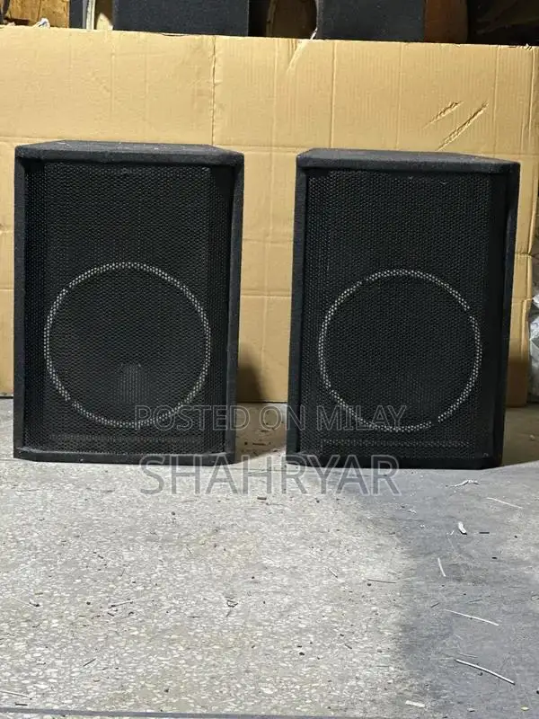 10 Inch Speakers - Pair of High-Performance Audio Speakers