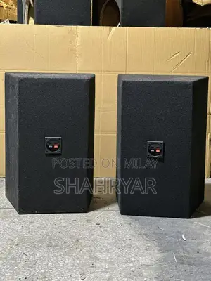 10 Inch Speakers - Pair of High-Performance Audio Speakers