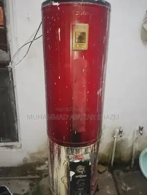 35 gallon geyser for sale